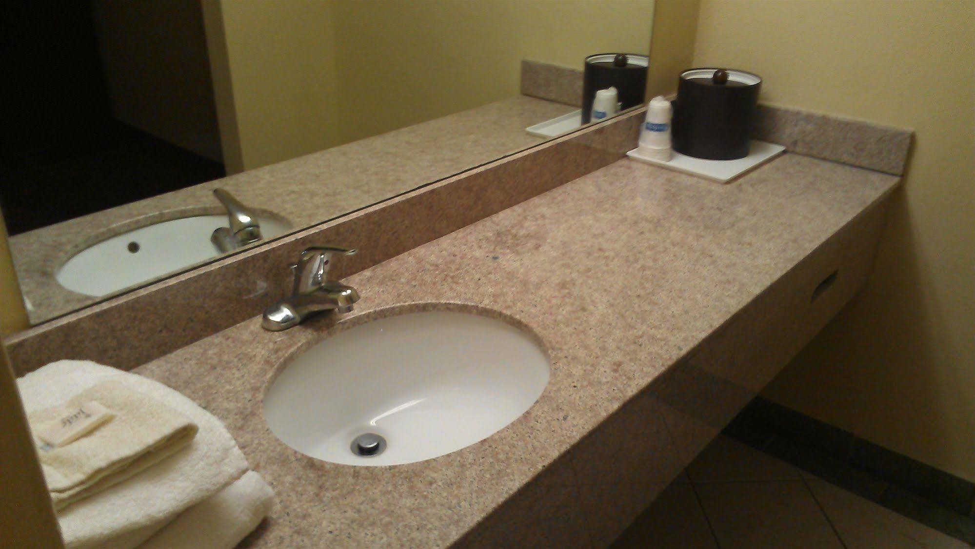 פורסט פארק Atlanta Airport Hotel מראה חיצוני תמונה